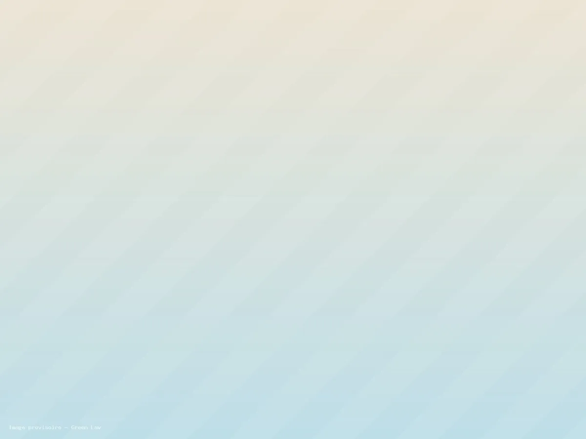 Image provisoire : laverie libre-service